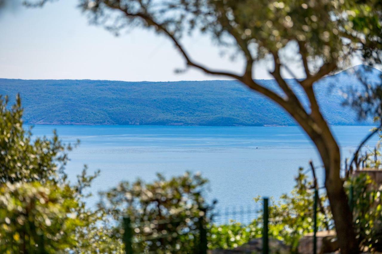 Apartments Davor Mošćenička Draga Zewnętrze zdjęcie